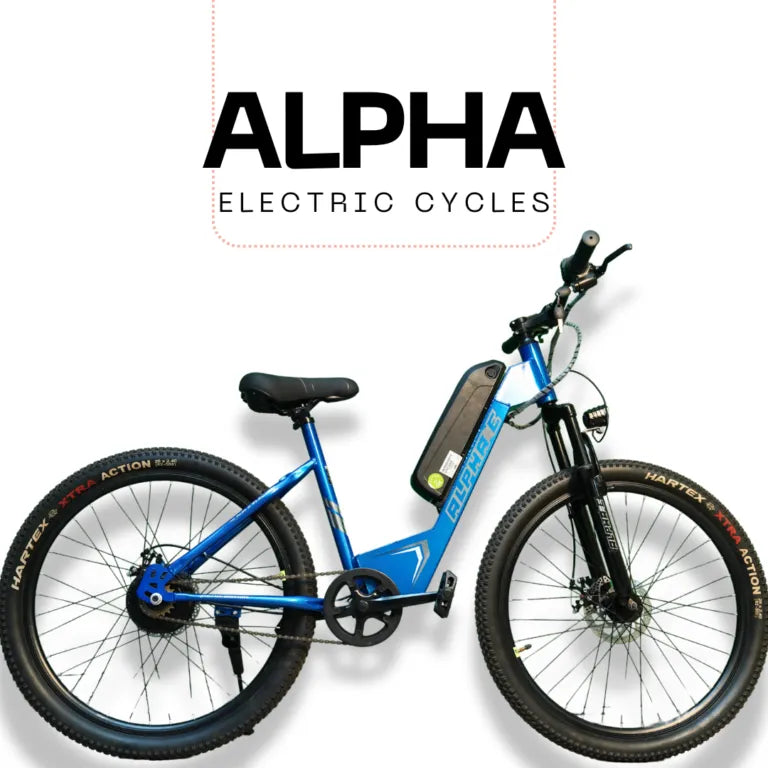 Buy Virtus Motors Alpha E Electric Bicycle Bicyclekart – Bicycle