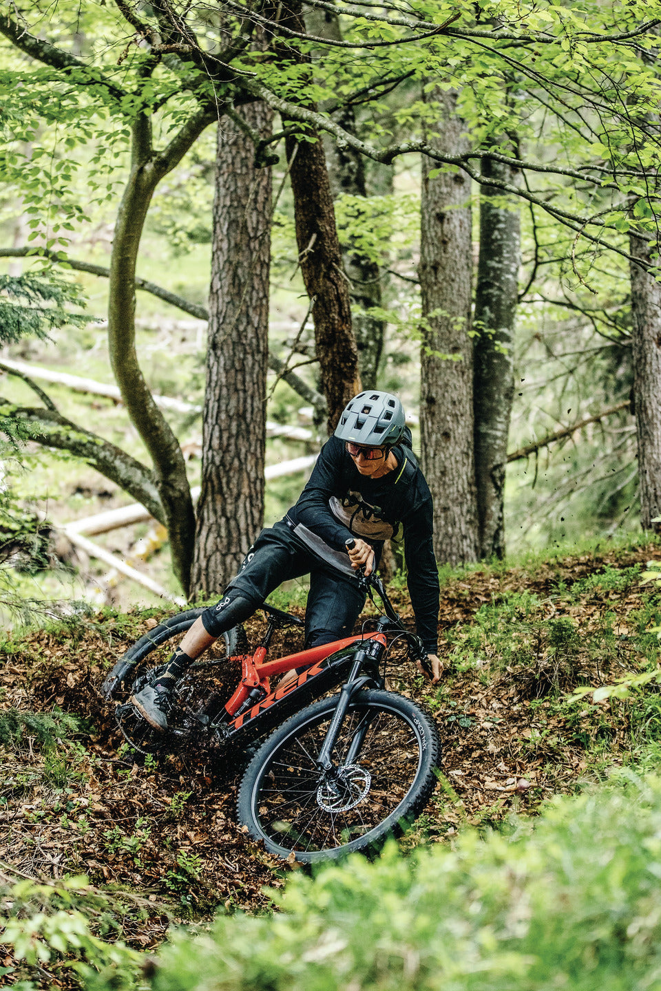 Abus MoDrop Helmet