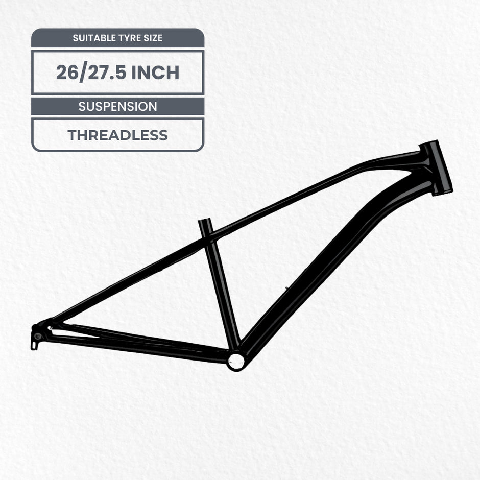titanium bike Intense 26 in Bike Frames