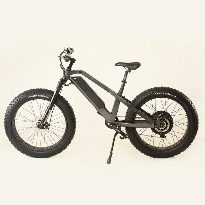 Projectsr Fat Cross Country Ebike 1000watt