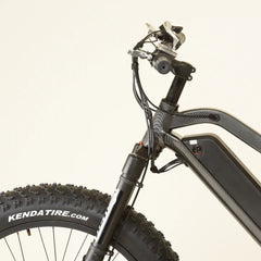 Projectsr Fat Cross Country Ebike 1000watt