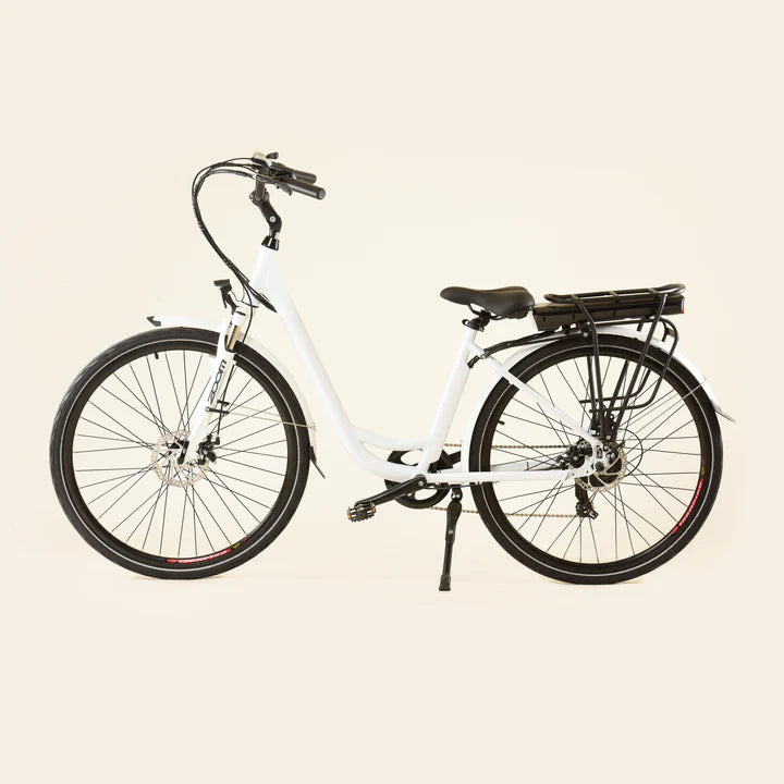 Projectsr Urban Ebike 250Watt 700c